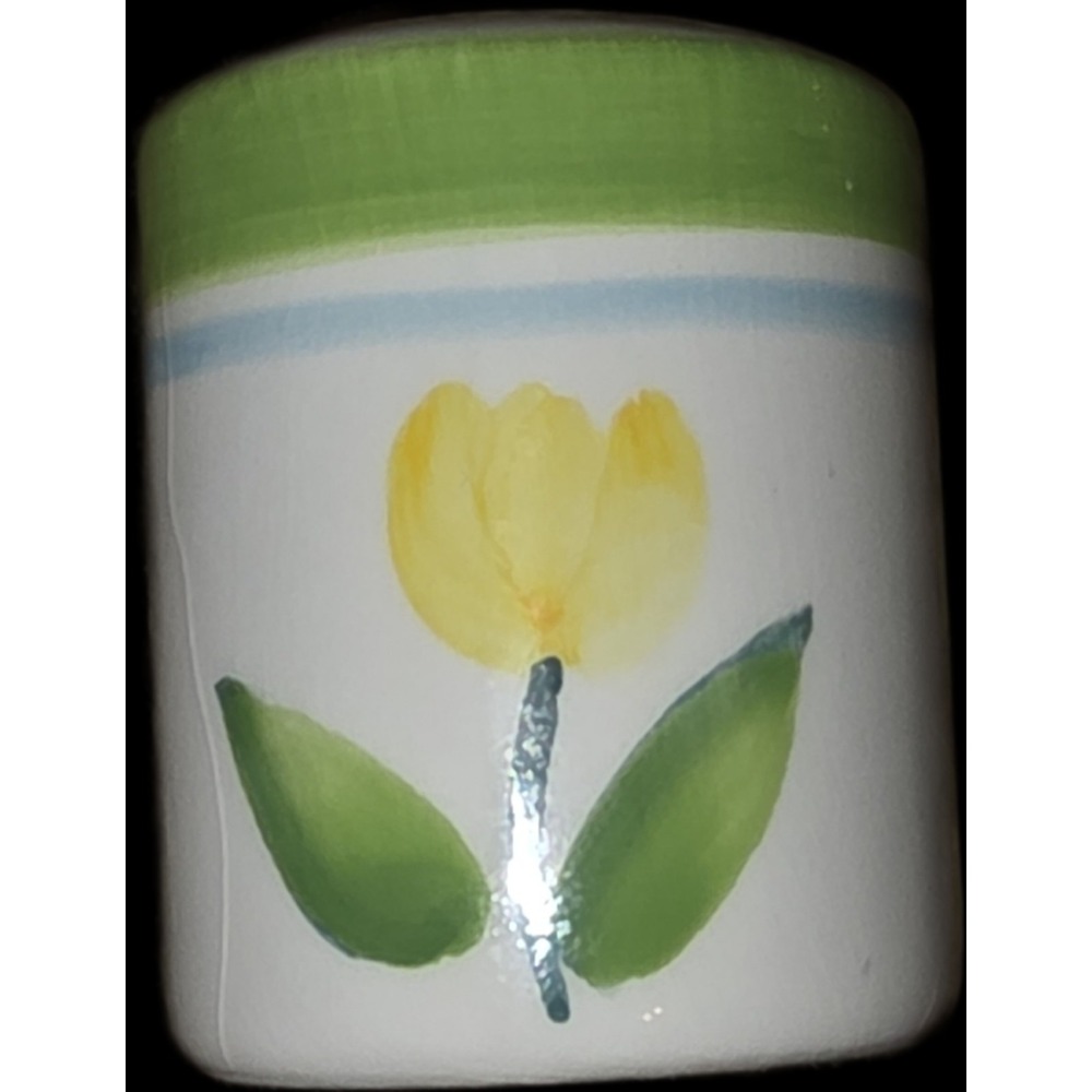 Vintage Tulip Design Cream-Orange & Green Salt And Pepper Shakers